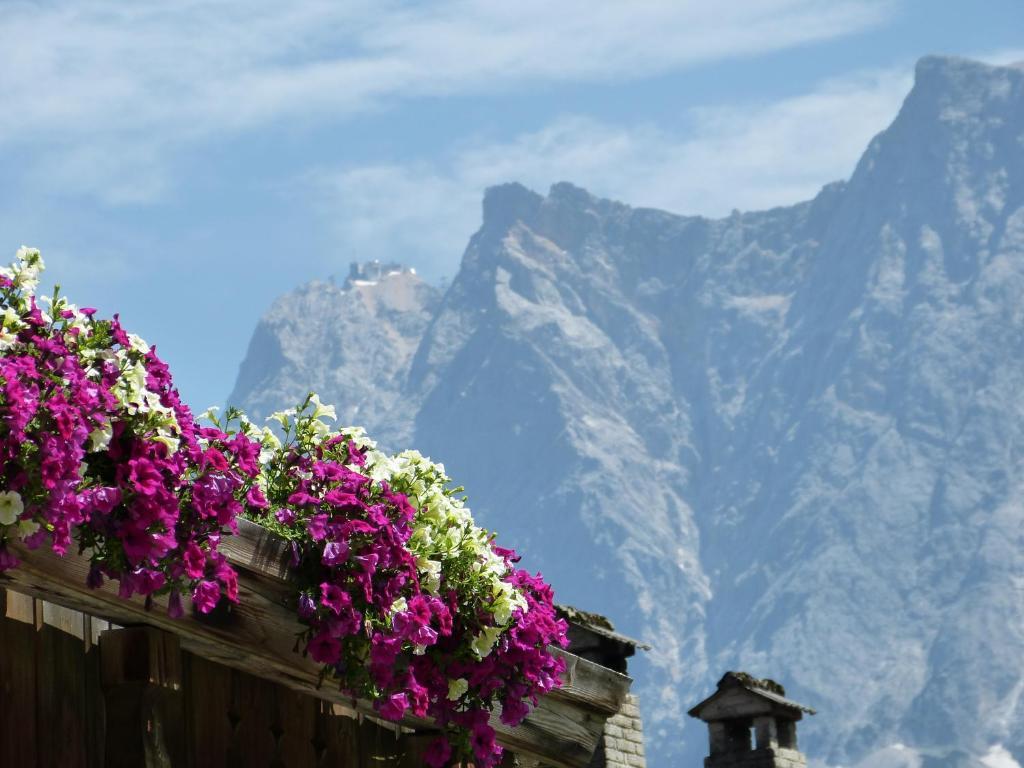 Appartements Alpenland Lermoos Εξωτερικό φωτογραφία